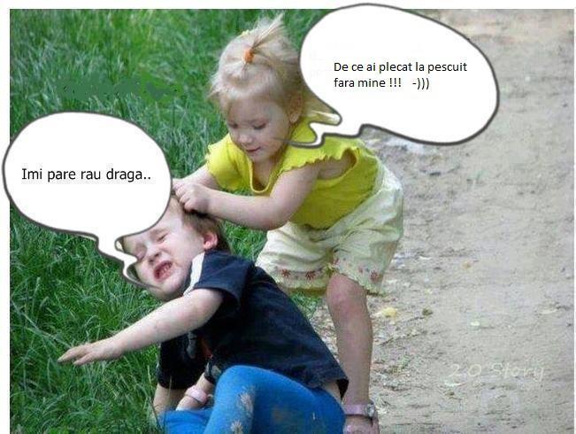 adevar 100% - box.jpg